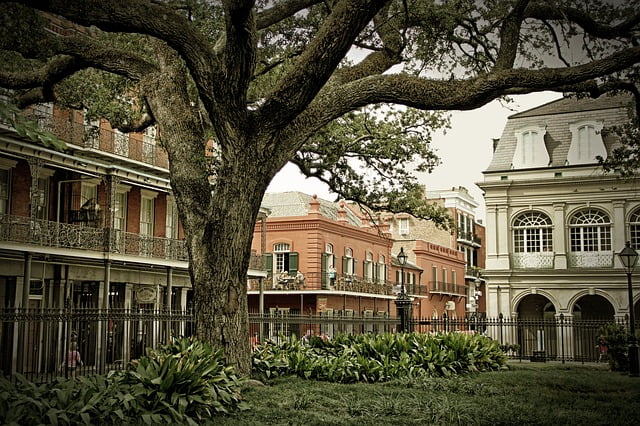 new orleans fransız mahallesi