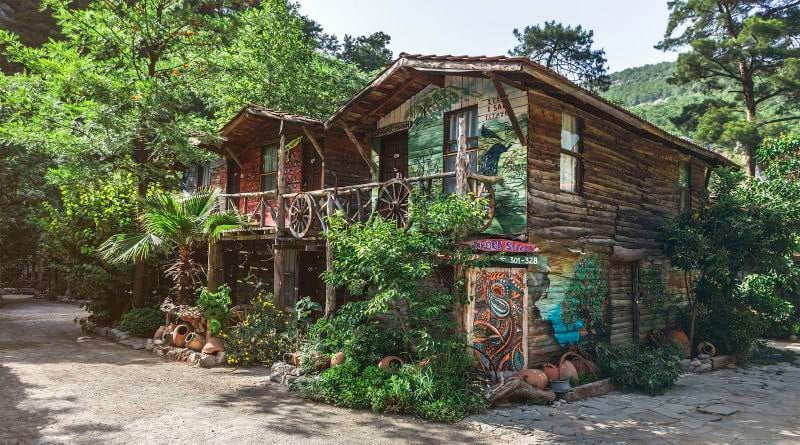 nadirs-tree-house