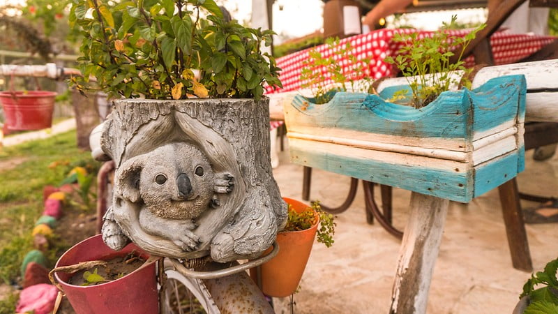 koala-bungalows